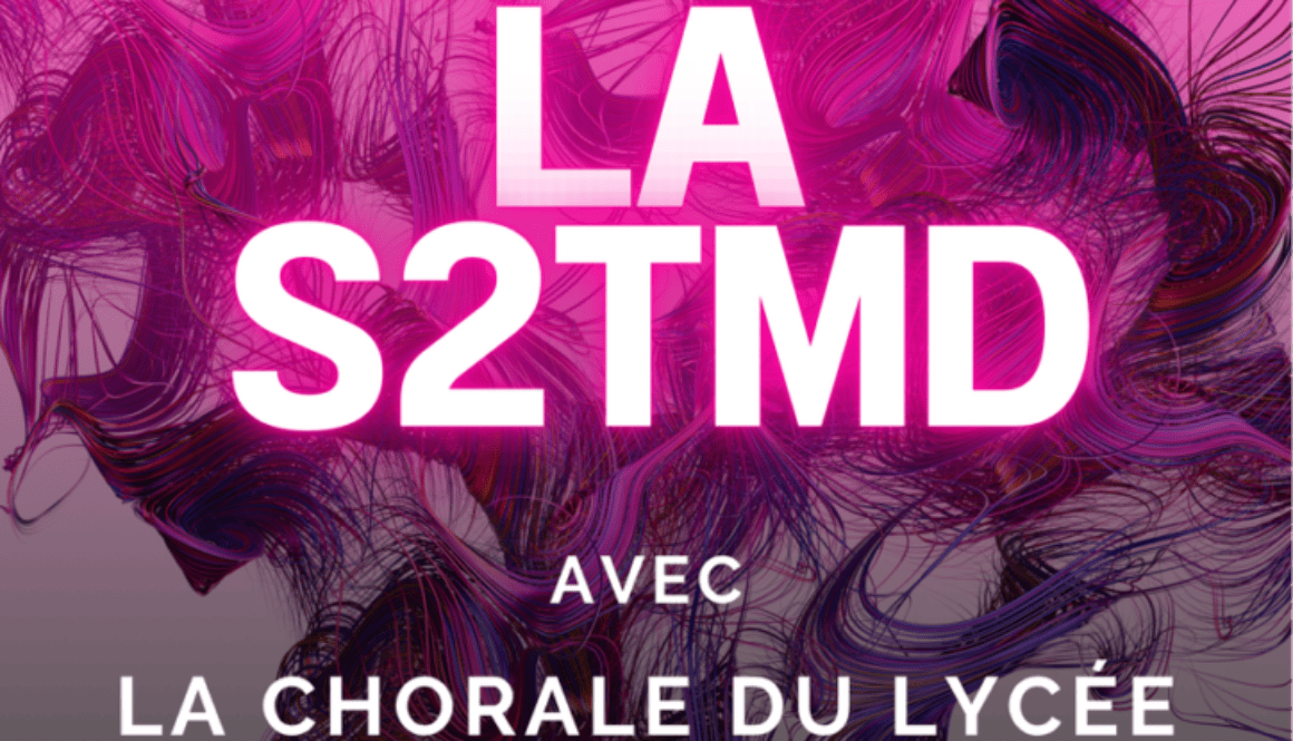 AFFICHE SPECTACLE S2TMD