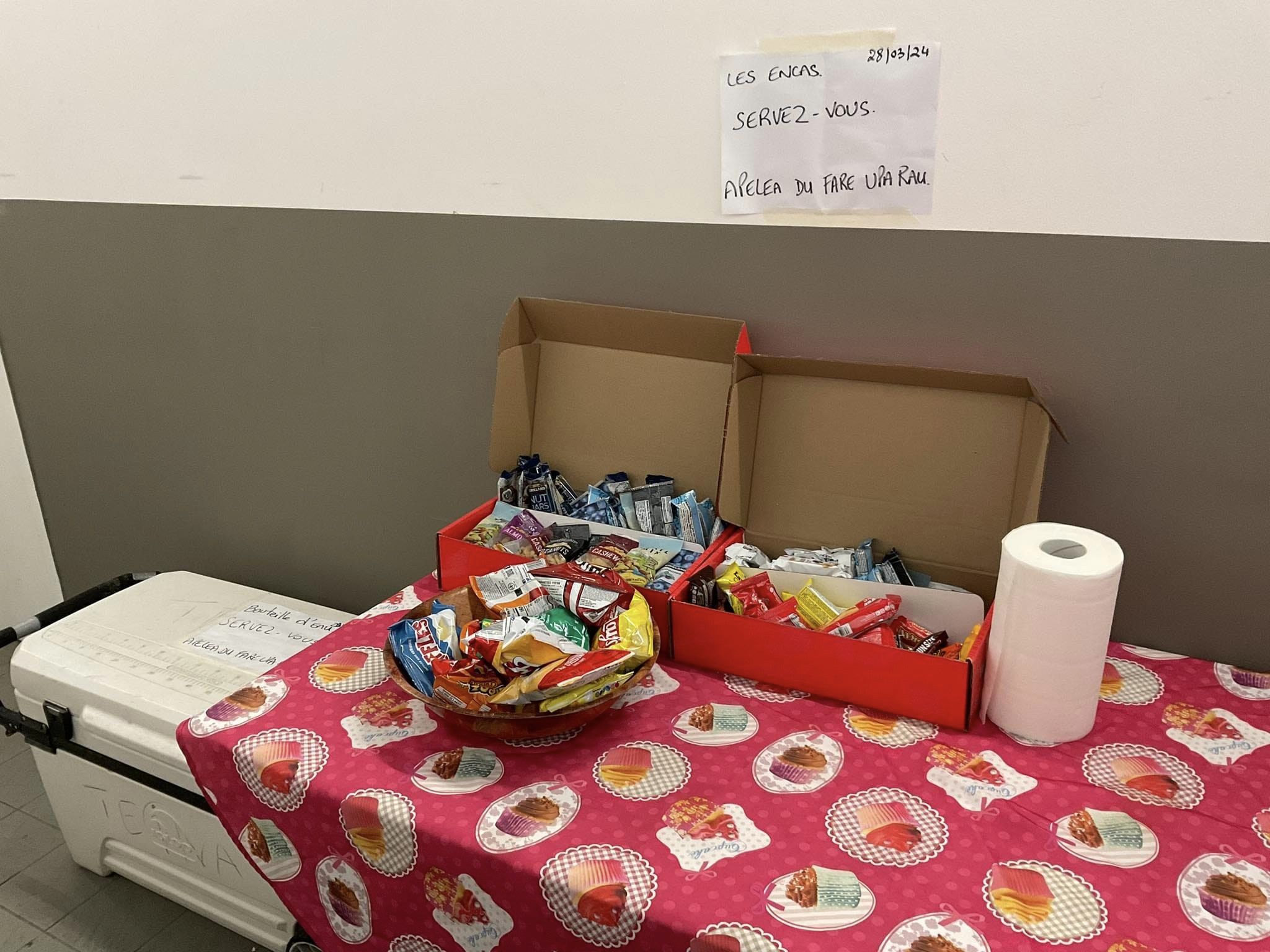 456485357_122098162778493253_314664382530279074_n