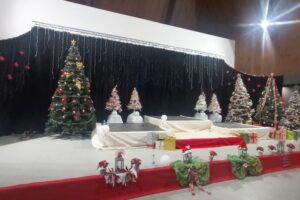 456716866_122098147442493253_4319204986813511523_n