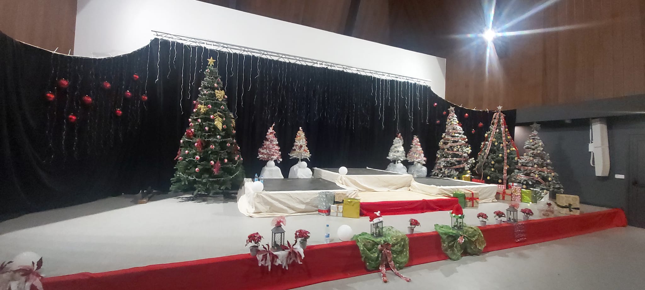 456716866_122098147442493253_4319204986813511523_n