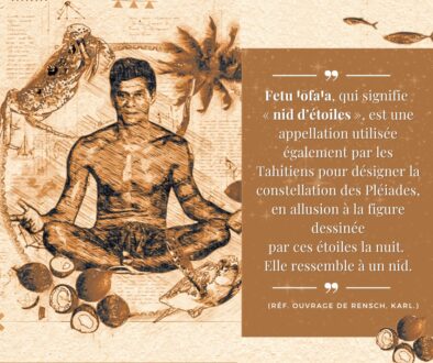 Citation du 28/10/2024