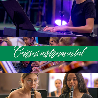 Bouton Cursus instrumental