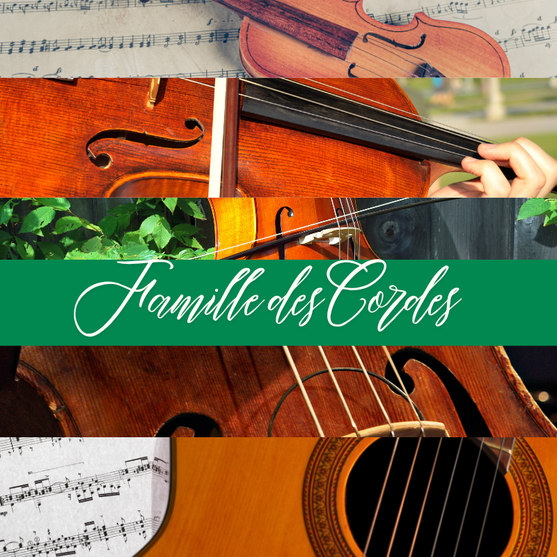 Bouton de la section arts classiques - Famille des Cordes