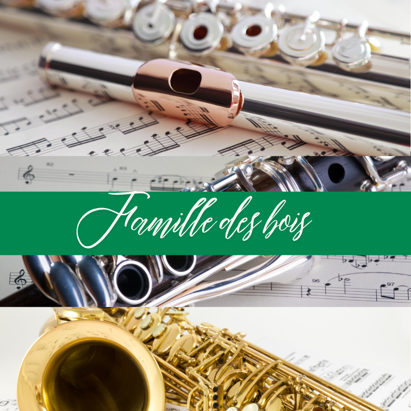 Bouton de la section arts classiques - Famille des bois