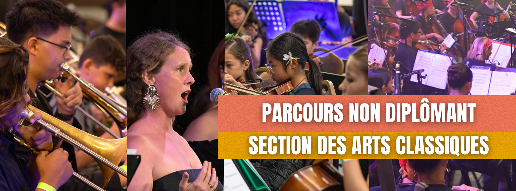 Bannière web arts classiques - Parcours non diplômant